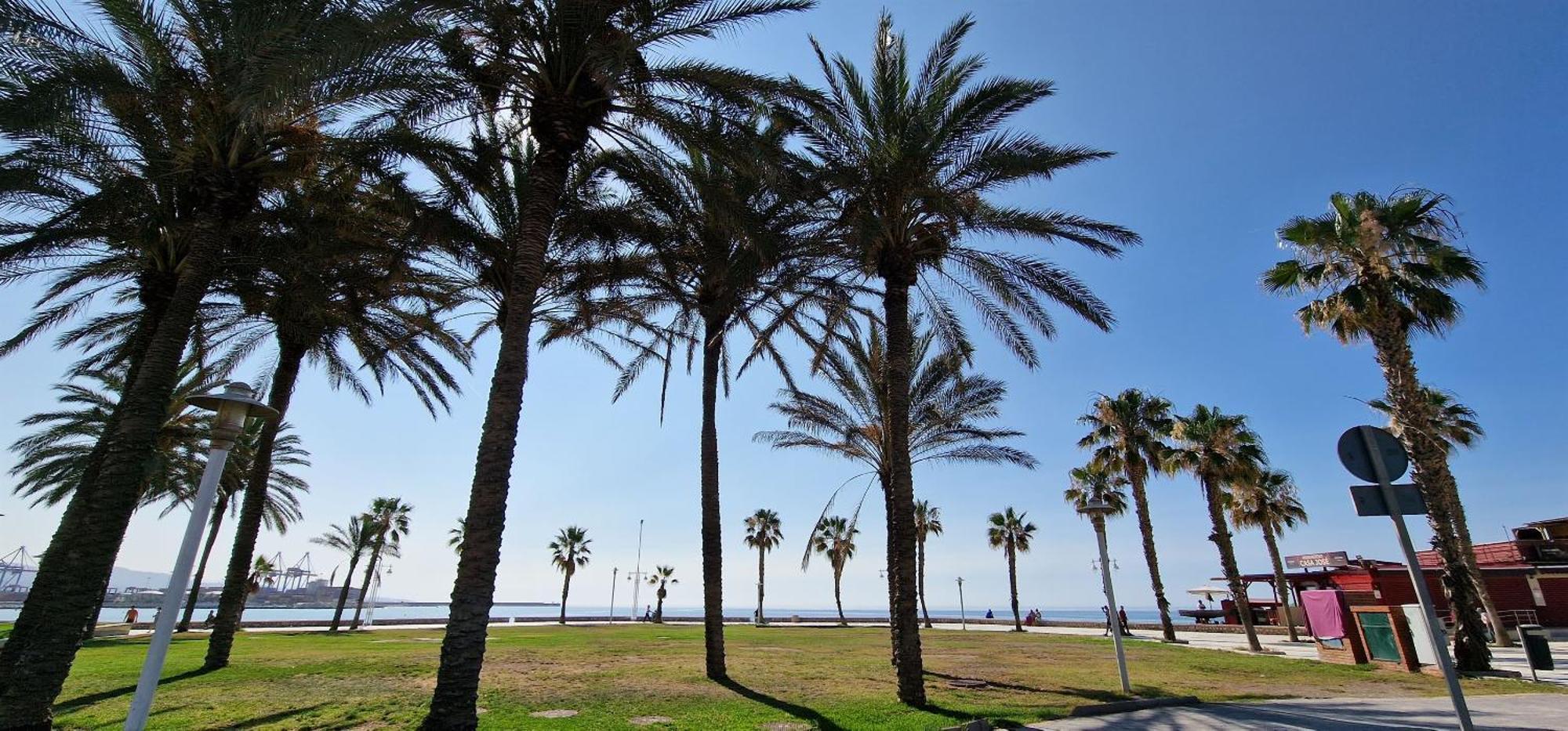 Paz Beach Μάλαγα Εξωτερικό φωτογραφία
